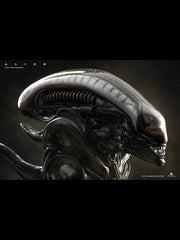 alien1-1bust