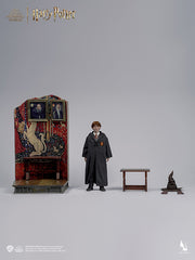 Ron Weasley 1/6 Scale Collectibles and Accessories