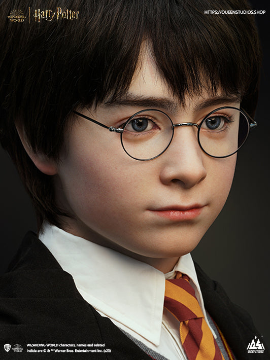 Harry Potter Life-Size Bust