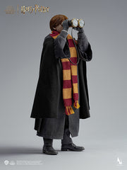 Ron Weasley 1/6 Scale Figure- Telescope