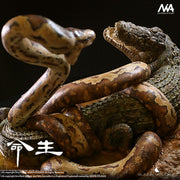 African Rock Python Vs. Nile Crocodile