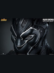 Avengers_Black_Panther_Bust