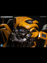 QS Limited Edition BumbleBee Bust