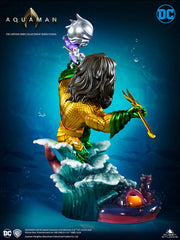 Cartoon Series Aquaman by Queen Studios