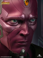 vision1-1bust