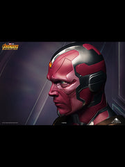 vision_1-1_bust